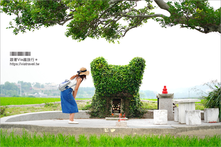 苗栗銅鑼》銅鑼龍貓土地公～超療癒的綠色龍貓小屋，200年歷史的田心伯公等你來打卡！