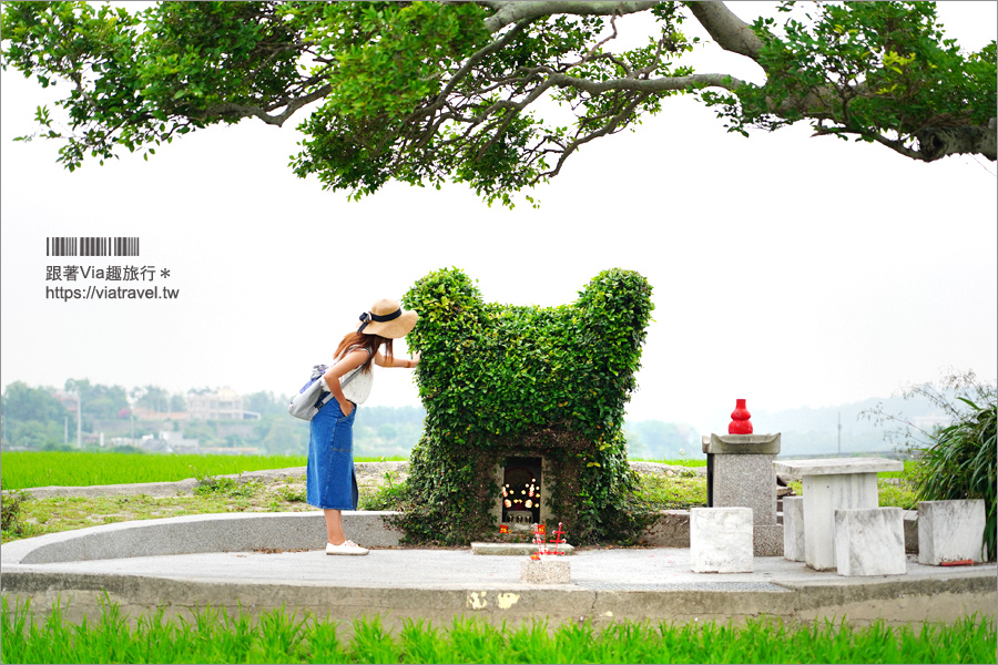 苗栗銅鑼》銅鑼龍貓土地公～超療癒的綠色龍貓小屋，200年歷史的田心伯公等你來打卡！