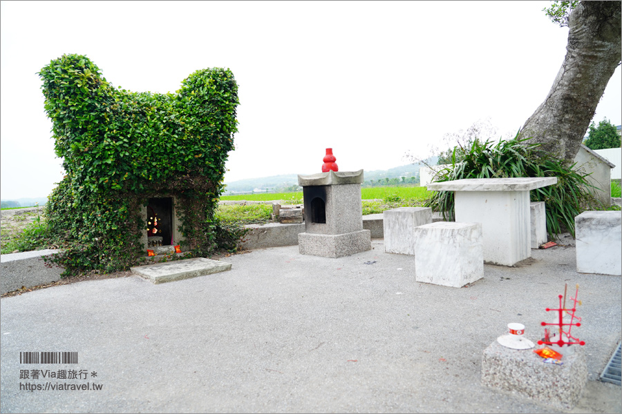 苗栗銅鑼》銅鑼龍貓土地公～超療癒的綠色龍貓小屋，200年歷史的田心伯公等你來打卡！