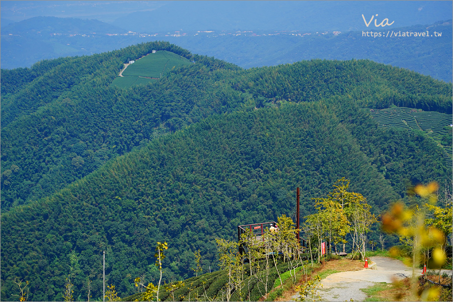 南投鹿谷景點》松安景觀廣場～山林中的私房小秘境！夢幻茶園步道及賞景平台一次收集！