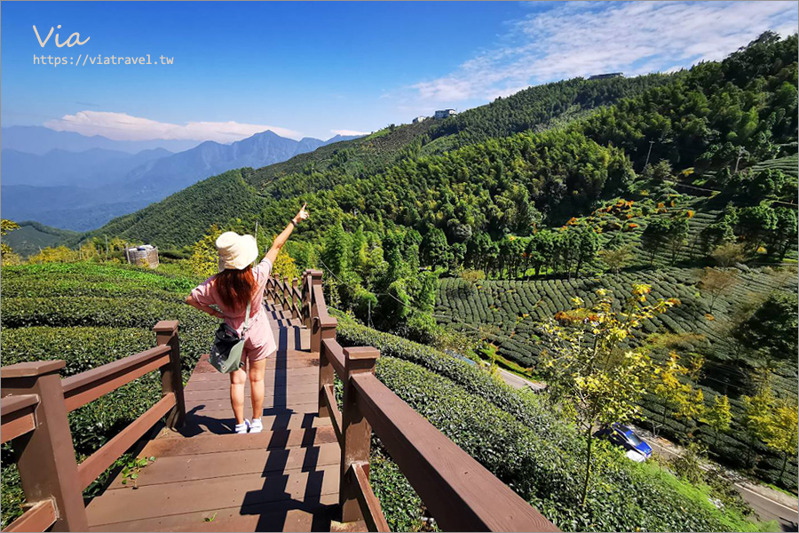 南投鹿谷景點》松安景觀廣場～山林中的私房小秘境！夢幻茶園步道及賞景平台一次收集！