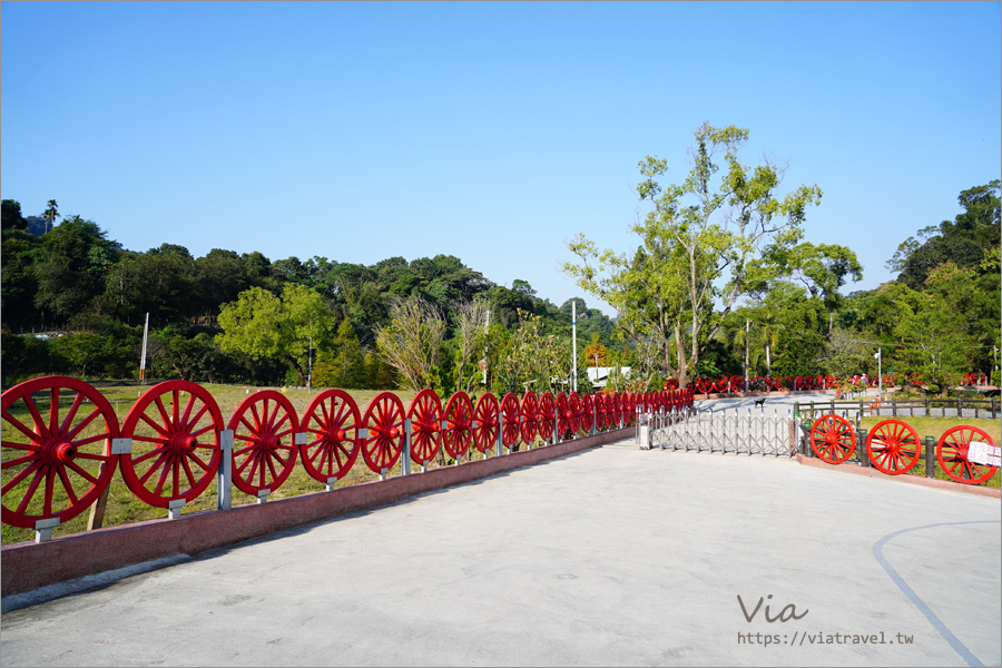 台中落羽松》太平苗圃落羽松～好美！宛若出國風情，池畔落羽松倒影美景這裡拍！