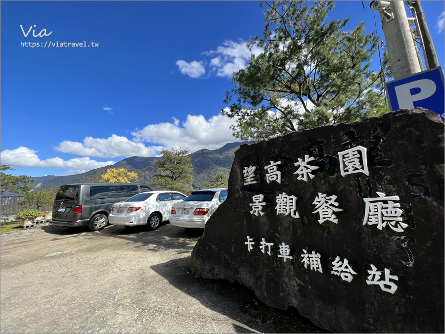 南投櫻花景點》望高茶園景觀餐廳～私房賞櫻秘境，粉色櫻花隧道＋櫻花地毯一次滿足！