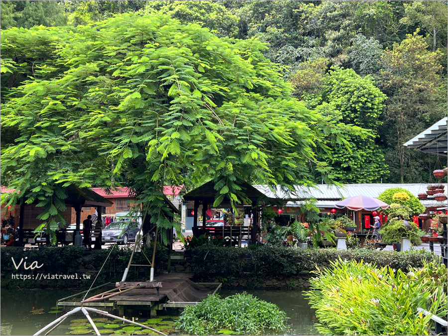 埔里美食》南投桃米生態村餐廳～土角厝水上庭園餐廳，傳說中的水上旋轉餐桌…..下次再試！