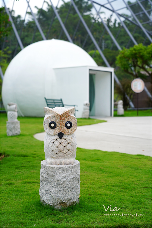 九九峰動物樂園》全新開幕！打造亞洲最大的鳥類主題樂園，超多鳥類、羊駝、狐獴等可愛動物和你近距離相見歡