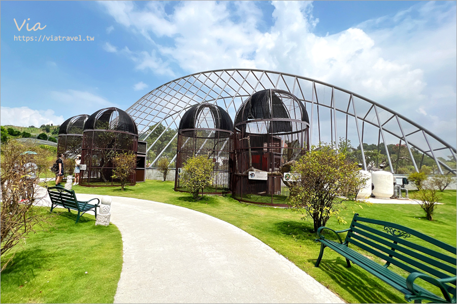 九九峰動物樂園》全新開幕！打造亞洲最大的鳥類主題樂園，超多鳥類、羊駝、狐獴等可愛動物和你近距離相見歡