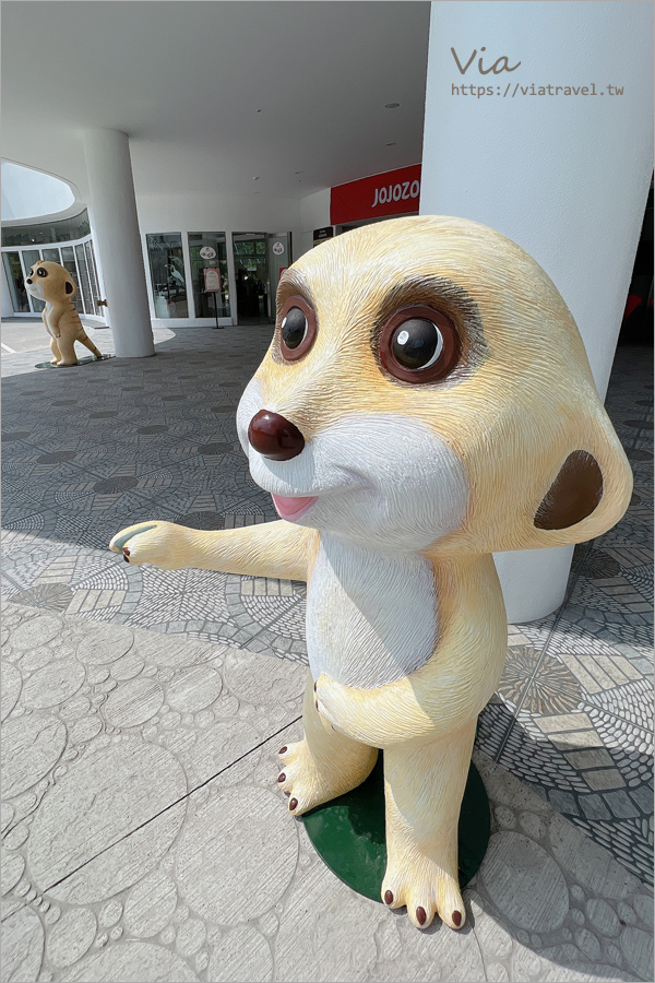 九九峰動物樂園》全新開幕！打造亞洲最大的鳥類主題樂園，超多鳥類、羊駝、狐獴等可愛動物和你近距離相見歡