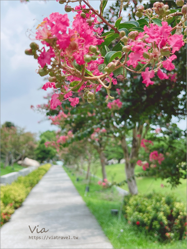 彰化景點》成美文化園～台版兼六園的夢幻日式庭園造景，紫薇花季的桃色漫遊小旅行！