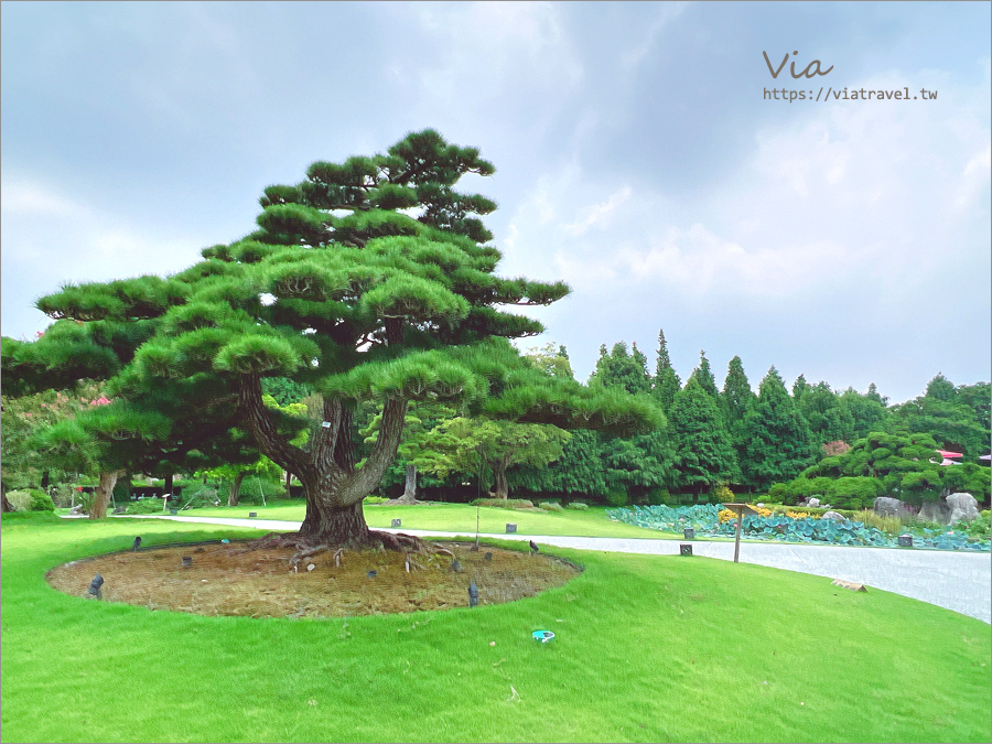 彰化景點》成美文化園～台版兼六園的夢幻日式庭園造景，紫薇花季的桃色漫遊小旅行！