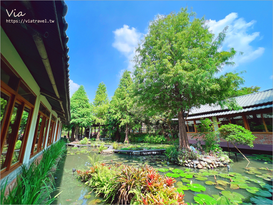 台中寵物友善餐廳》田寮農莊～適合帶爸媽同行的古早味餐廳，還可以帶寵物一起用餐，跟著我一起用餐趣！