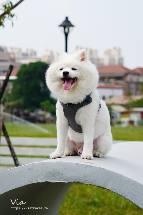 台中最新公園》太平馬卡龍公園～全台最高戶外溜滑梯玩翻天！還有專為毛小孩設計的寵物樂園，跟著Via一起來搶鮮看～