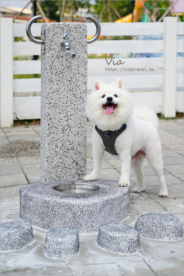 台中最新公園》太平馬卡龍公園～全台最高戶外溜滑梯玩翻天！還有專為毛小孩設計的寵物樂園，跟著Via一起來搶鮮看～