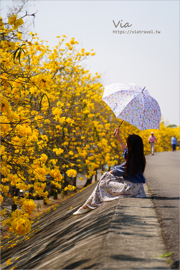 日本連線》雨季必備～日本雨傘推薦：日本絕美專櫃雨傘新品團《限時開團》