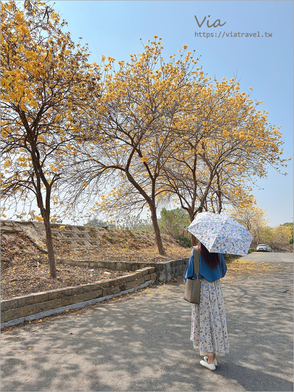 日本連線》雨季必備～日本雨傘推薦：日本絕美專櫃雨傘新品團《限時開團》