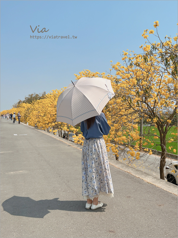 日本連線》雨季必備～日本雨傘推薦：日本絕美專櫃雨傘新品團《限時開團》