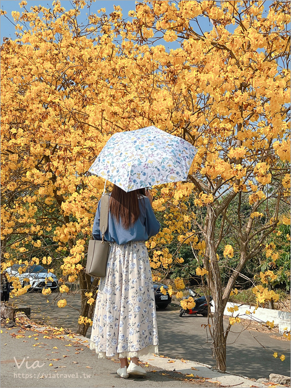 日本連線》雨季必備～日本雨傘推薦：日本絕美專櫃雨傘新品團《限時開團》