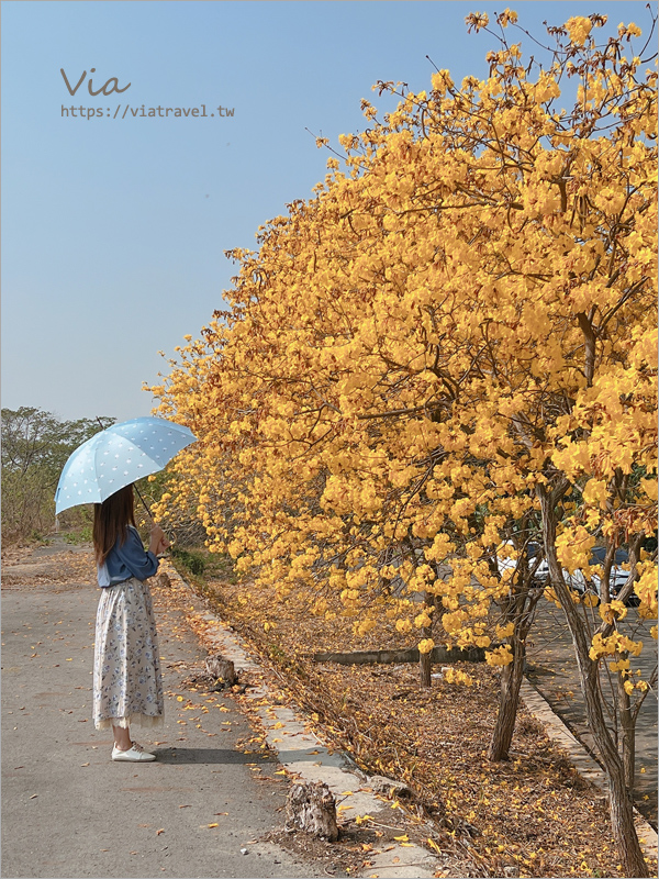 日本連線》雨季必備～日本雨傘推薦：日本絕美專櫃雨傘新品團《限時開團》