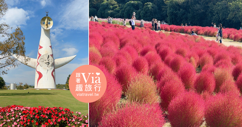 大阪萬博紀念公園》大阪必去景點地標～太陽之塔！還有季節限定的火紅波波草美景一次收集！