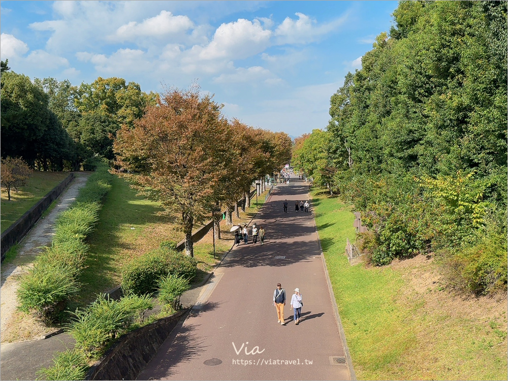 大阪萬博紀念公園》大阪必去景點地標～太陽之塔！還有季節限定的火紅波波草美景一次收集！