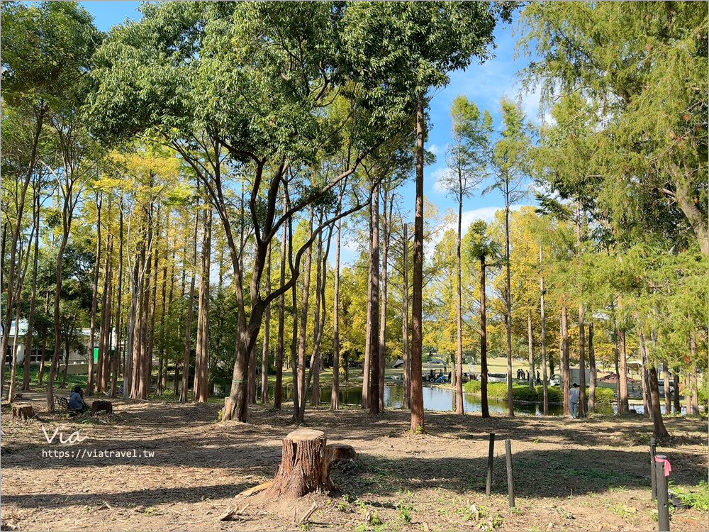 大阪萬博紀念公園》大阪必去景點地標～太陽之塔！還有季節限定的火紅波波草美景一次收集！