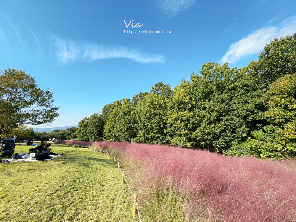 大阪萬博紀念公園》大阪必去景點地標～太陽之塔！還有季節限定的火紅波波草美景一次收集！