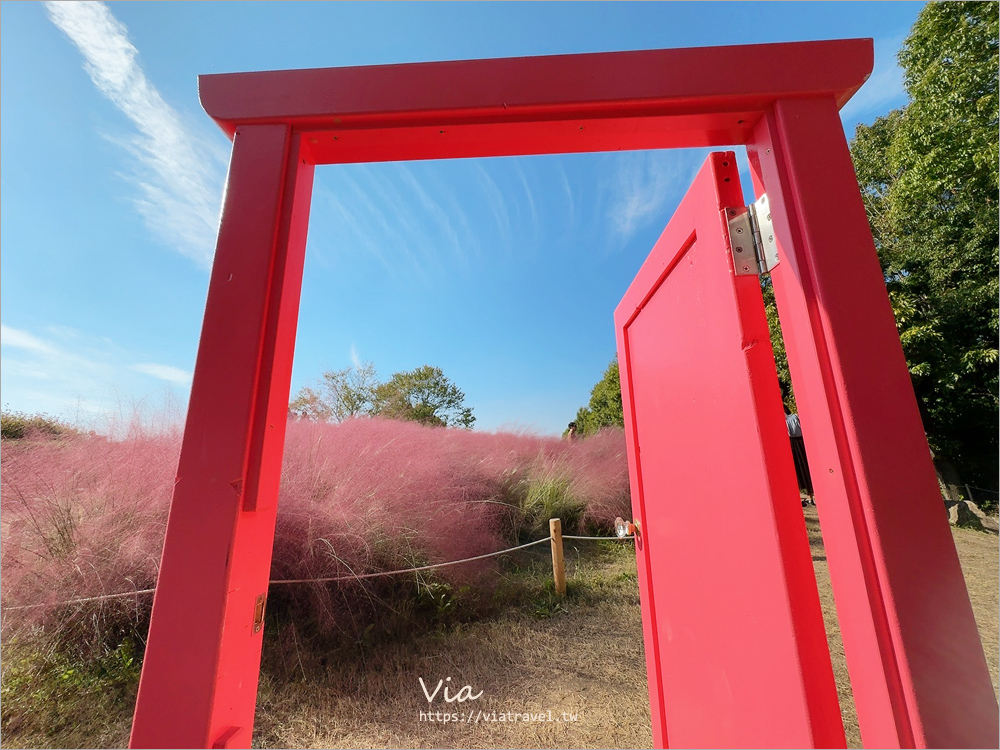 大阪萬博紀念公園》大阪必去景點地標～太陽之塔！還有季節限定的火紅波波草美景一次收集！