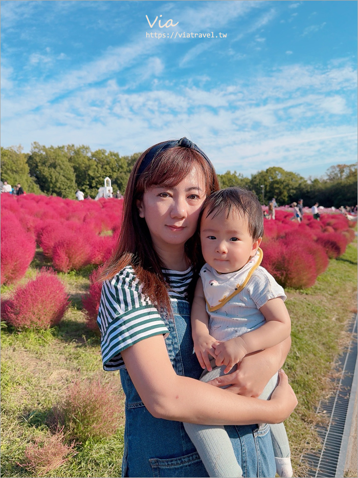 大阪萬博紀念公園》大阪必去景點地標～太陽之塔！還有季節限定的火紅波波草美景一次收集！