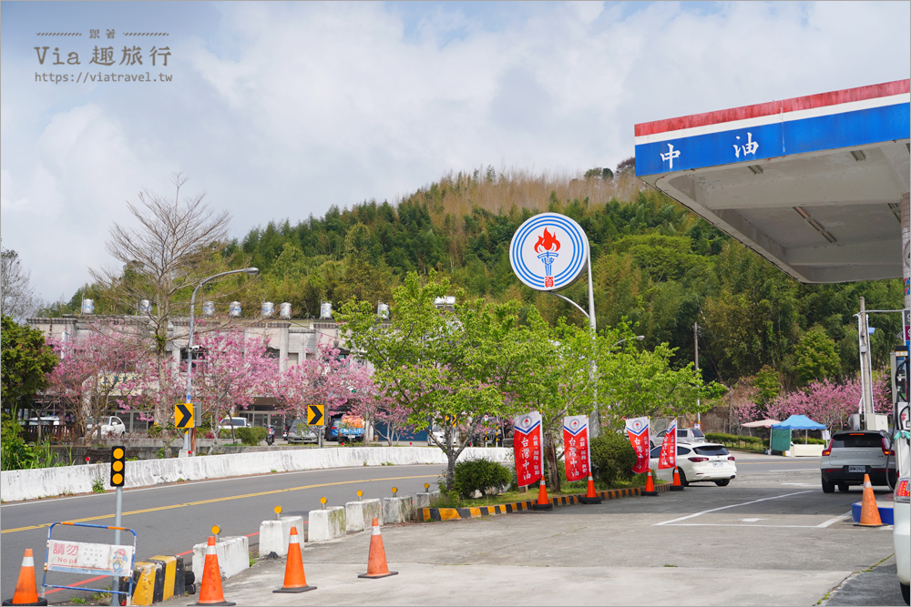 石棹中油加油站櫻花》全台最粉嫩的山中加油站～昭和櫻盛開美景相伴的中油拍起來！