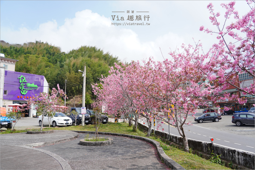 石棹中油加油站櫻花》全台最粉嫩的山中加油站～昭和櫻盛開美景相伴的中油拍起來！