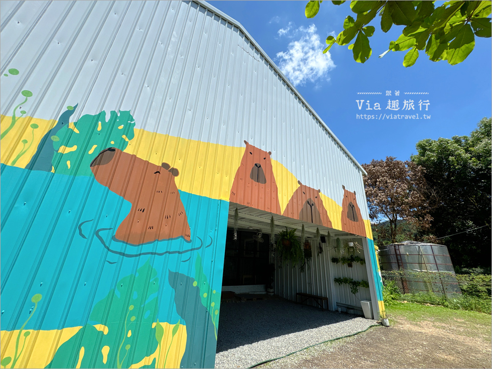 埔里水豚咖啡館》享日啡啡～新餐廳報到！來南投找水豚君、柯爾鴨一起耍萌趣！