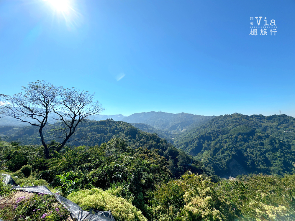 南投鹿谷景點》鹿芝谷生態景觀園區～全新開幕的親子景點，水豚君、笑笑羊、梅花鹿萌萌報到！