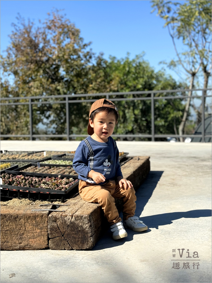 南投鹿谷景點》鹿芝谷生態景觀園區～全新開幕的親子景點，水豚君、笑笑羊、梅花鹿萌萌報到！