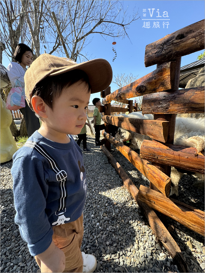 南投鹿谷景點》鹿芝谷生態景觀園區～全新開幕的親子景點，水豚君、笑笑羊、梅花鹿萌萌報到！