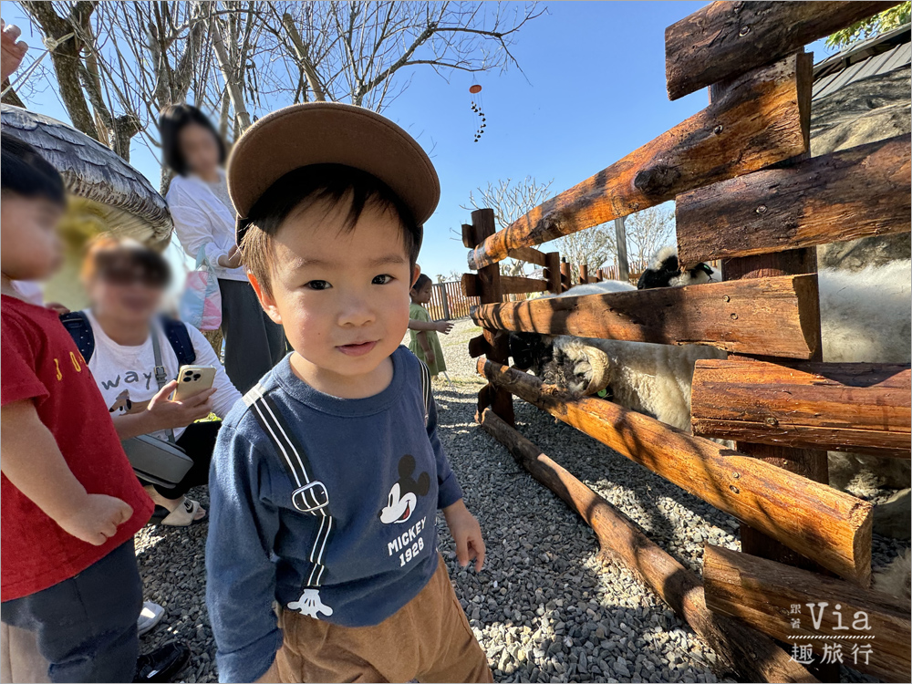 南投鹿谷景點》鹿芝谷生態景觀園區～全新開幕的親子景點，水豚君、笑笑羊、梅花鹿萌萌報到！