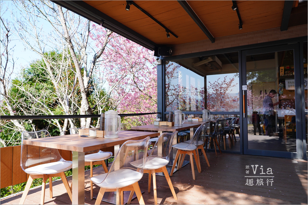 南投清境餐廳》星嵐拉麵~全台最粉紅的拉麵店!爆開的香水櫻花大道最美實況報到! 南投清境餐廳》星嵐拉麵~全台最粉紅的拉麵店!爆開的香水櫻花大道最美實況報到!