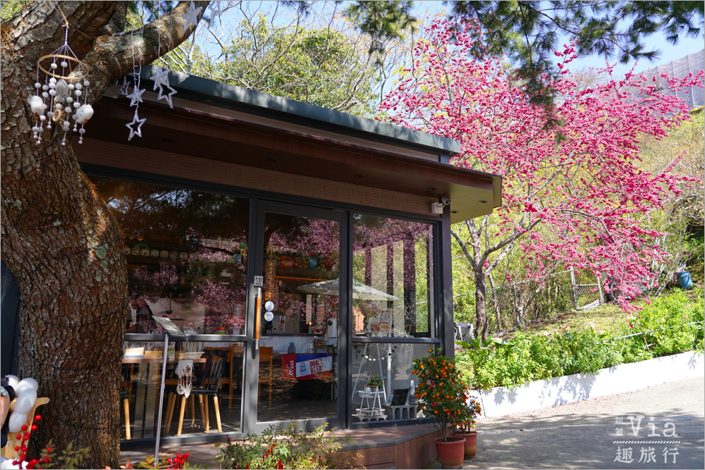 南投清境餐廳》星嵐拉麵~全台最粉紅的拉麵店!爆開的香水櫻花大道最美實況報到! 南投清境餐廳》星嵐拉麵~全台最粉紅的拉麵店!爆開的香水櫻花大道最美實況報到!