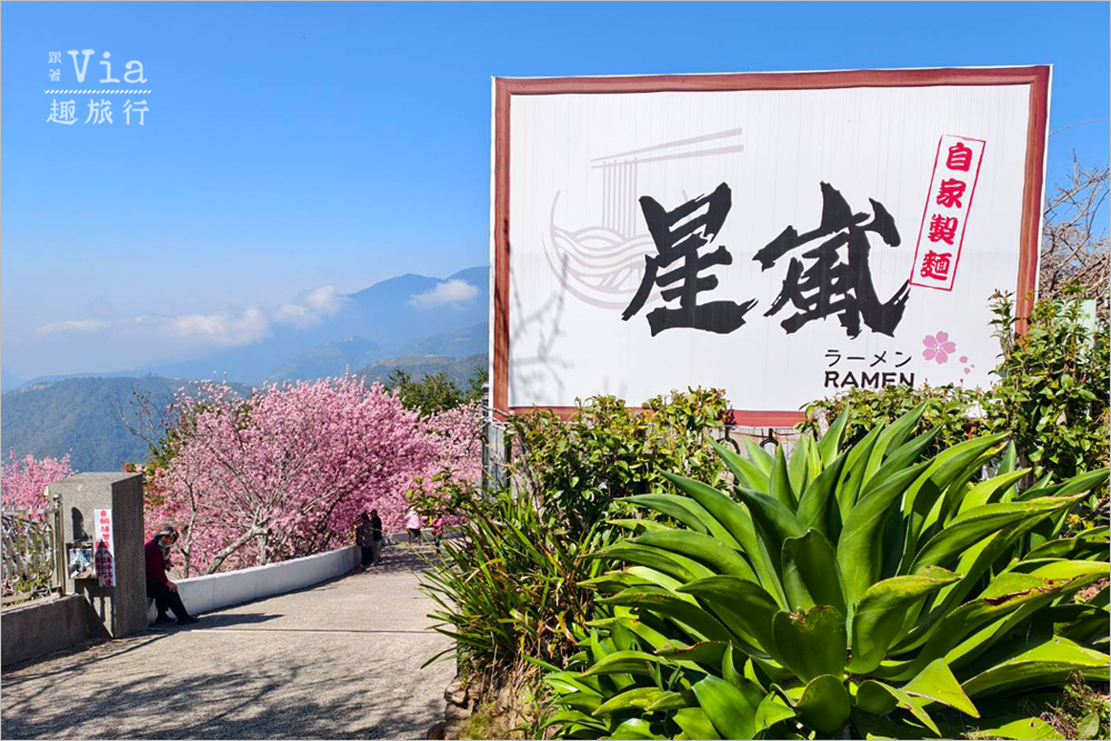 南投清境餐廳》星嵐拉麵~全台最粉紅的拉麵店!爆開的香水櫻花大道最美實況報到! 南投清境餐廳》星嵐拉麵~全台最粉紅的拉麵店!爆開的香水櫻花大道最美實況報到!