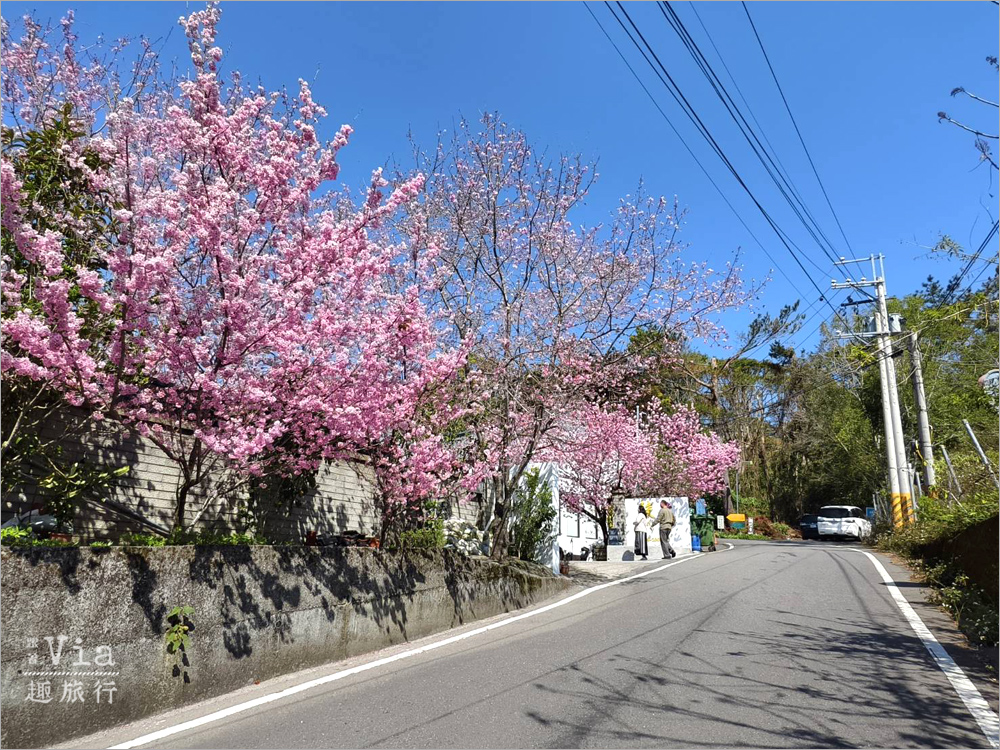 清境駿亦景觀民宿》被櫻花包圍的民宿住這間~日式白屋加上香水櫻盛開的畫面美不勝收! 清境駿亦景觀民宿》被櫻花包圍的民宿住這間~日式白屋加上香水櫻盛開的畫面美不勝收!