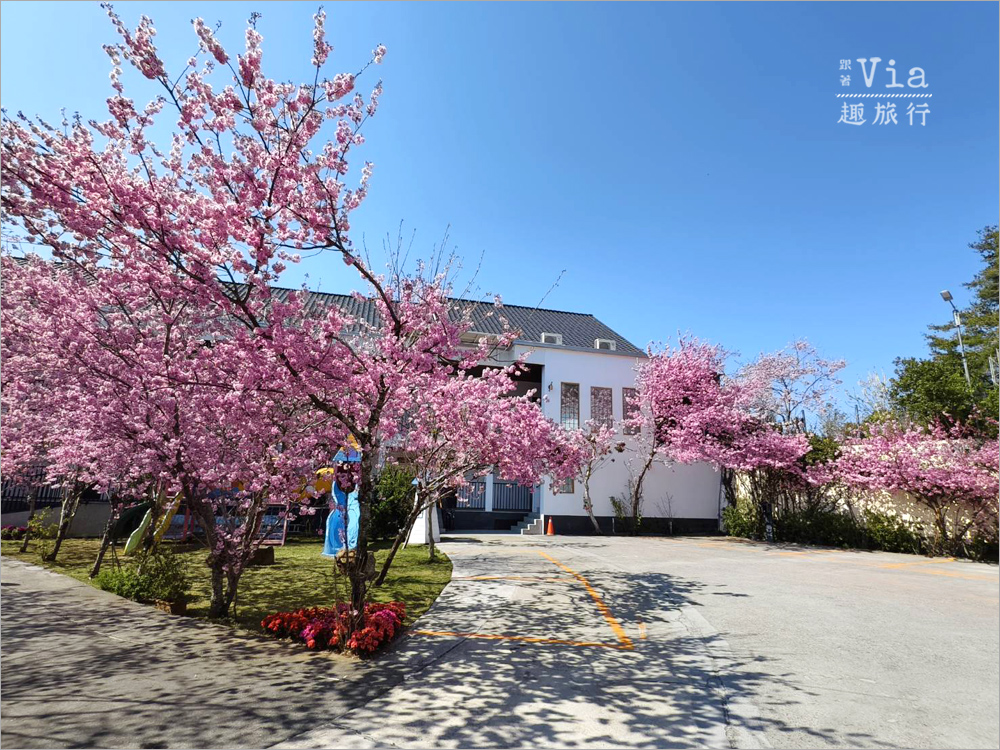 清境駿亦景觀民宿》被櫻花包圍的民宿住這間~日式白屋加上香水櫻盛開的畫面美不勝收! 清境駿亦景觀民宿》被櫻花包圍的民宿住這間~日式白屋加上香水櫻盛開的畫面美不勝收!