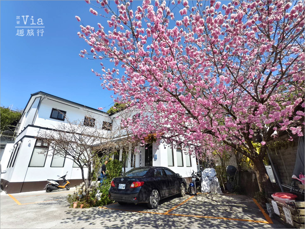 清境駿亦景觀民宿》被櫻花包圍的民宿住這間~日式白屋加上香水櫻盛開的畫面美不勝收! 清境駿亦景觀民宿》被櫻花包圍的民宿住這間~日式白屋加上香水櫻盛開的畫面美不勝收!