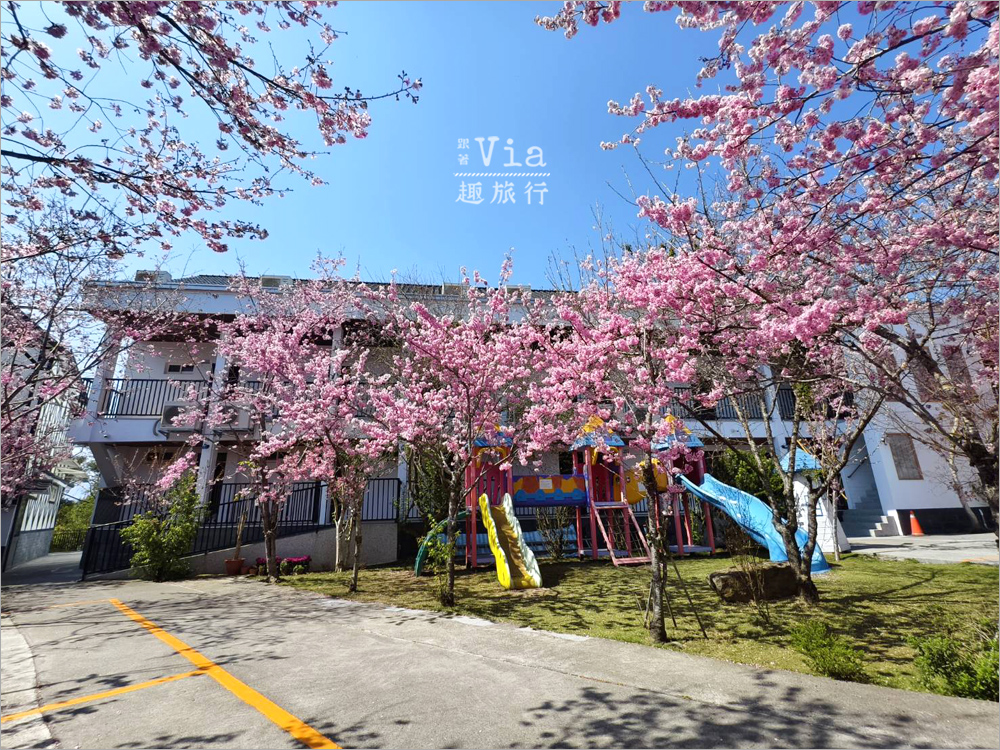 清境駿亦景觀民宿》被櫻花包圍的民宿住這間~日式白屋加上香水櫻盛開的畫面美不勝收! 清境駿亦景觀民宿》被櫻花包圍的民宿住這間~日式白屋加上香水櫻盛開的畫面美不勝收!