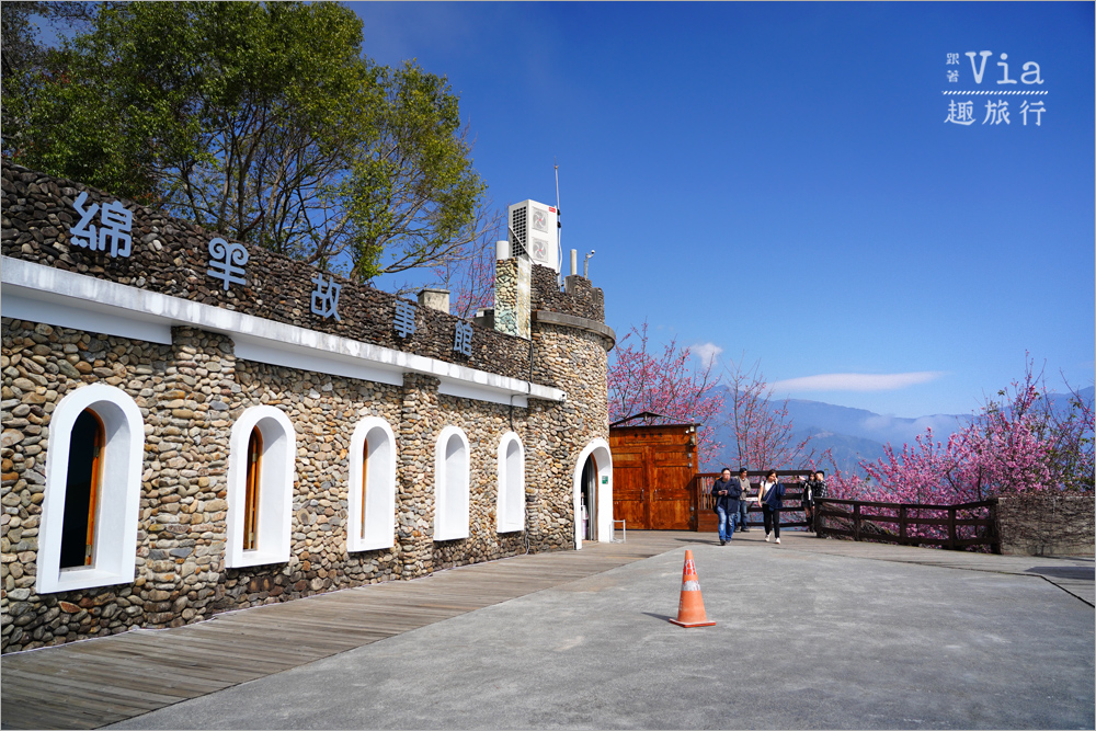 清境櫻花季》清境農場粉紅櫻花綻放~青青草原期間限定美景:綿羊加上櫻花盛開美極了! 清境櫻花季》清境農場粉紅櫻花綻放~青青草原期間限定美景:綿羊加上櫻花盛開美極了!