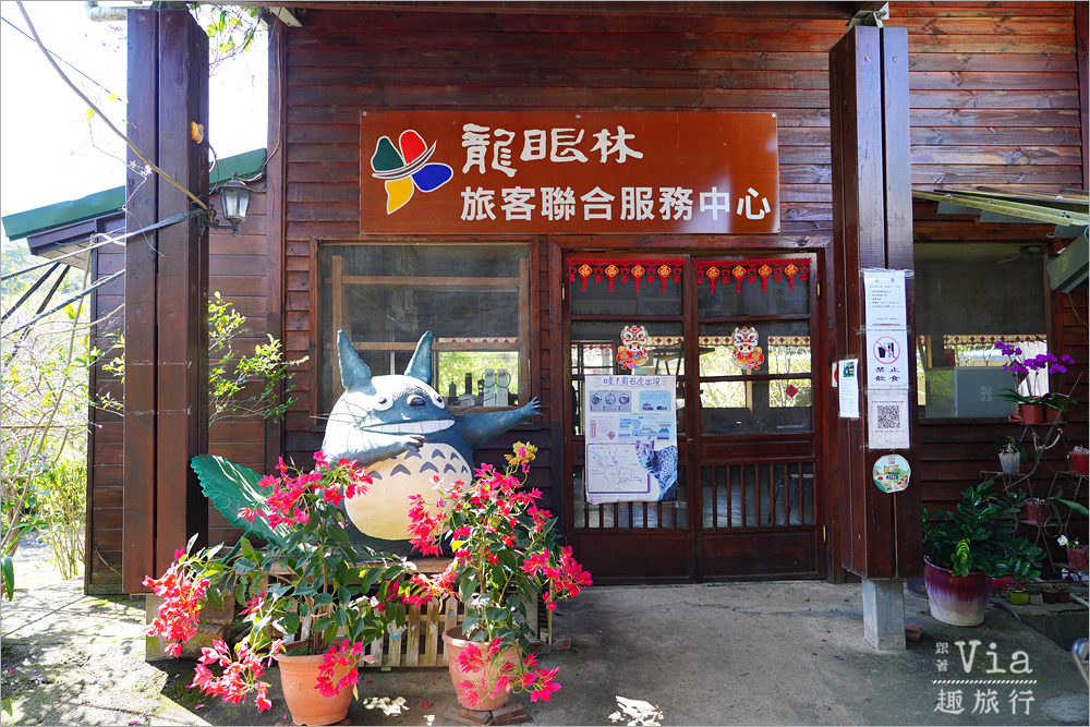 南投中寮景點》中寮錫葉藤的紫色小旅行~六七一茶花園、中寮龍眼林、長源隧道前紫色花瀑,一次拍個過癮! 南投中寮景點》中寮錫葉藤的紫色小旅行~六七一茶花園、中寮龍眼林、長源隧道前紫色花瀑,一次拍個過癮!