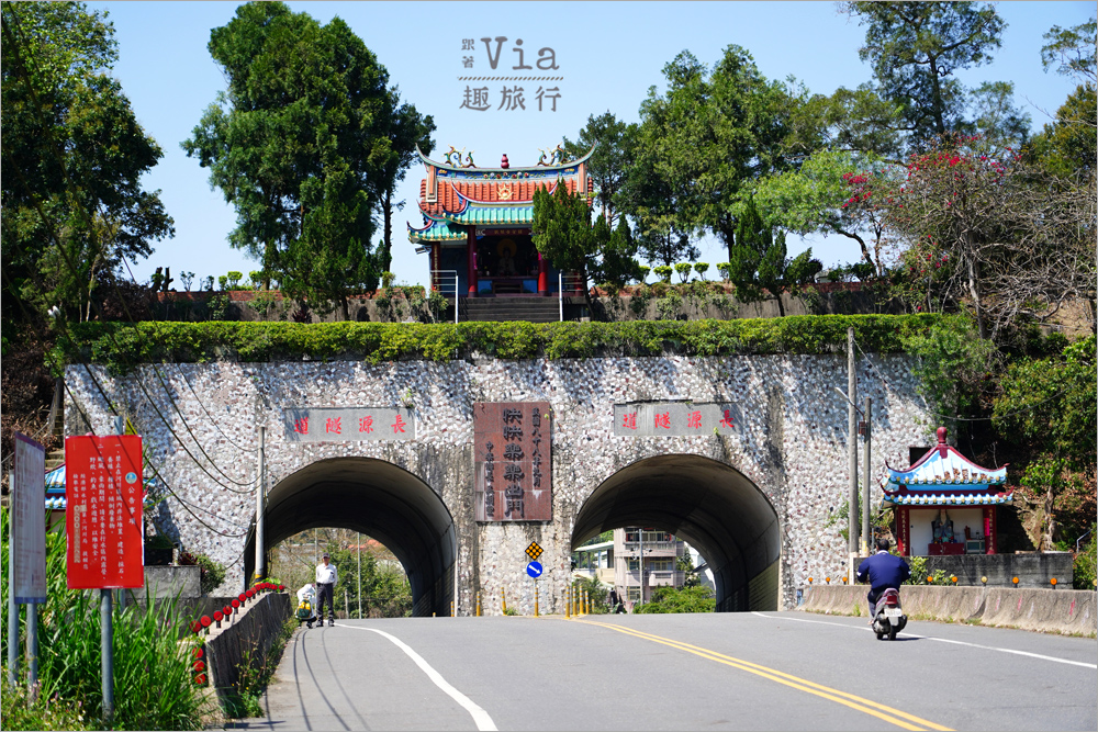 南投中寮景點》中寮錫葉藤的紫色小旅行~六七一茶花園、中寮龍眼林、長源隧道前紫色花瀑,一次拍個過癮! 南投中寮景點》中寮錫葉藤的紫色小旅行~六七一茶花園、中寮龍眼林、長源隧道前紫色花瀑,一次拍個過癮!