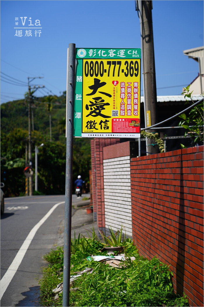 南投中寮景點》中寮錫葉藤的紫色小旅行~六七一茶花園、中寮龍眼林、長源隧道前紫色花瀑,一次拍個過癮! 南投中寮景點》中寮錫葉藤的紫色小旅行~六七一茶花園、中寮龍眼林、長源隧道前紫色花瀑,一次拍個過癮!