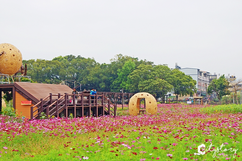 集集景點》和平快樂田園社區花海～IG打卡新點報到！裝置藝術竹球好吸精～