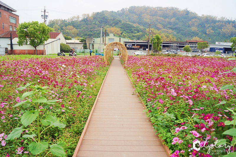 集集景點》和平快樂田園社區花海～IG打卡新點報到！裝置藝術竹球好吸精～