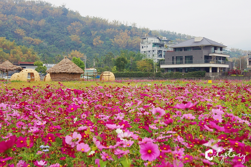 集集景點》和平快樂田園社區花海～IG打卡新點報到！裝置藝術竹球好吸精～