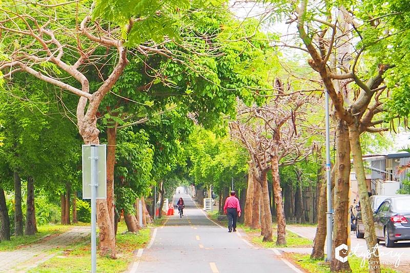 台中潭子景點》潭雅神綠園道～S彎道、波浪車道-攝影必拍森林裡自行車超舒服