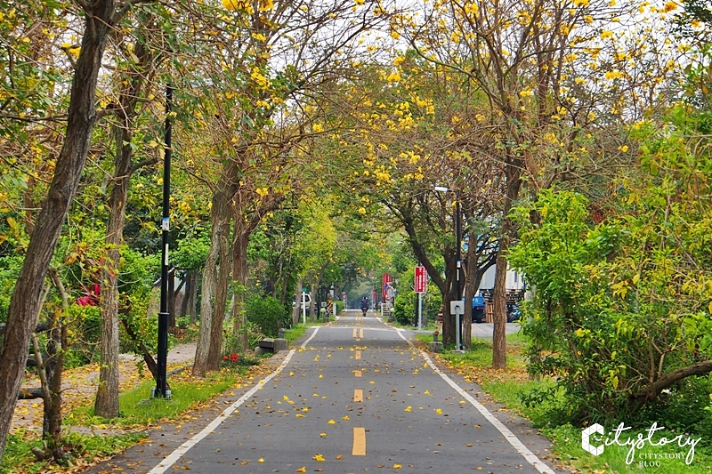 台中潭子景點》潭雅神綠園道～S彎道、波浪車道-攝影必拍森林裡自行車超舒服